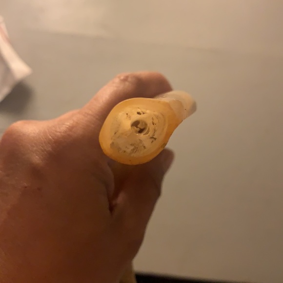 Ram horn - Picture 6 of 9